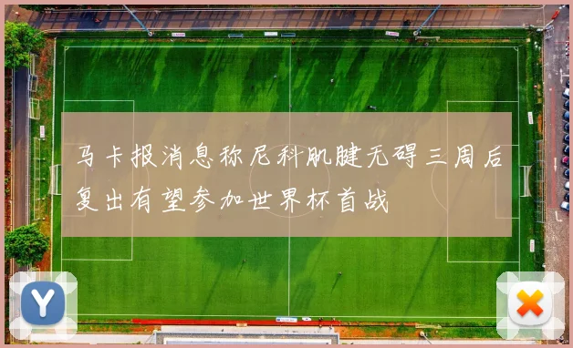 马卡报消息称尼科肌腱无碍三周后复出有望参加世界杯首战